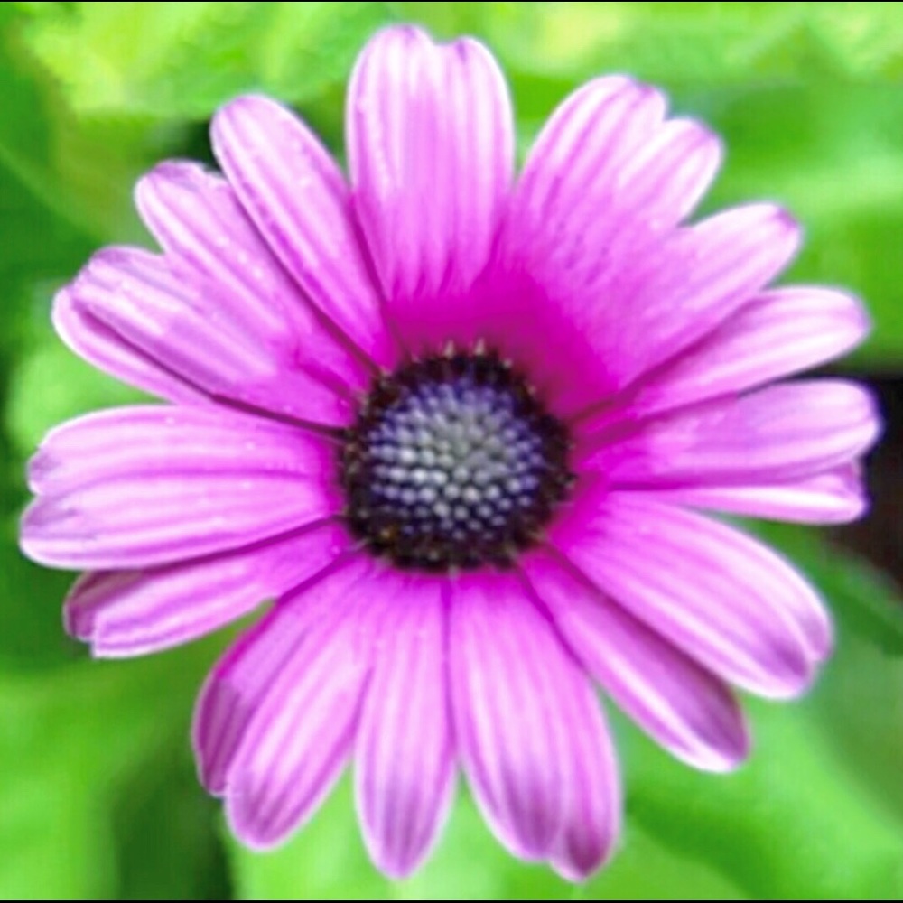 Meet your Posher, Cristi